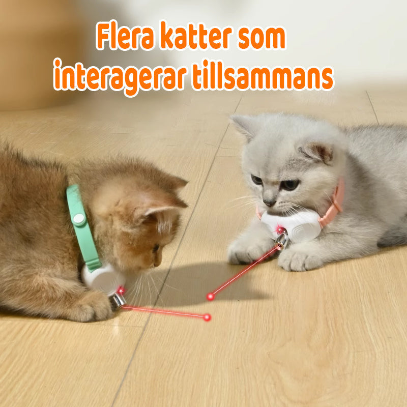 Cat Collar Motion-Activated Laser USB Rechargeable & Hypoallergenic