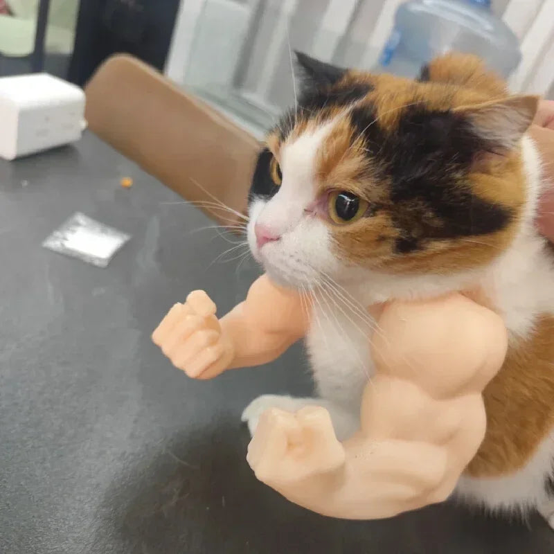 Cat Toy Bodybuilder Arms Lightweight & Comfortable