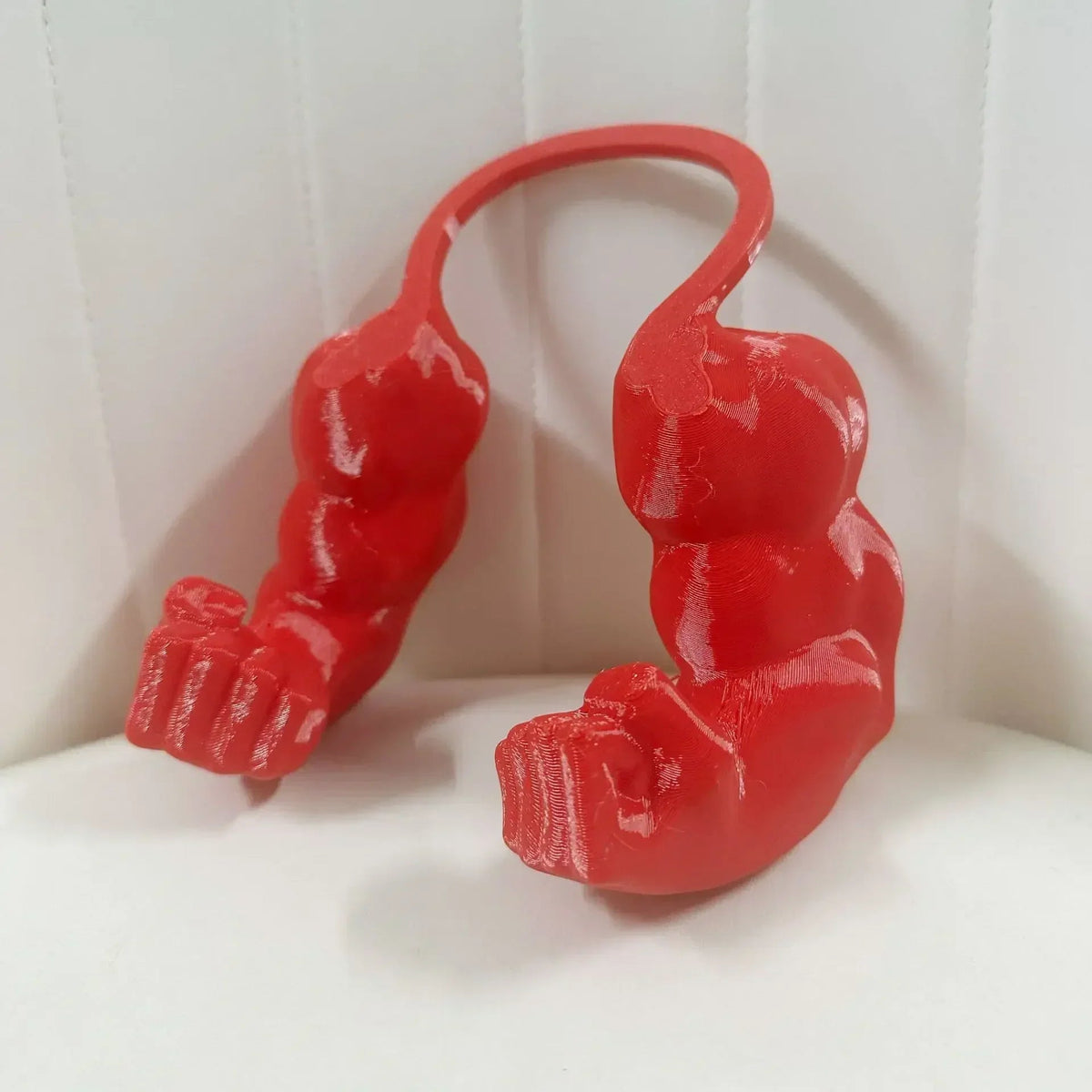 Cat Toy Bodybuilder Arms Lightweight & Comfortable