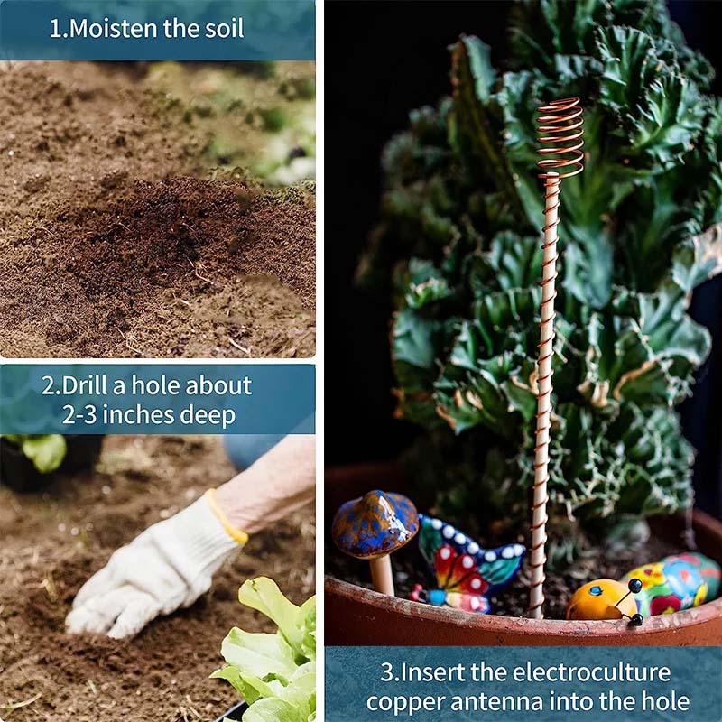 Garden Plant Stakes Pure Copper Weather-Resistant Set of 5
