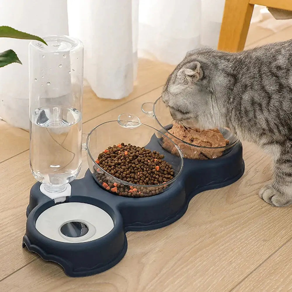 Pet Feeder Automatic Water Dispenser Dry & Wet Bowls