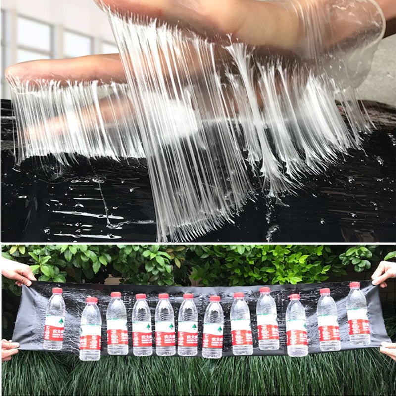 Extra-Large Non-Toxic Pest Trap for Ultimate Control