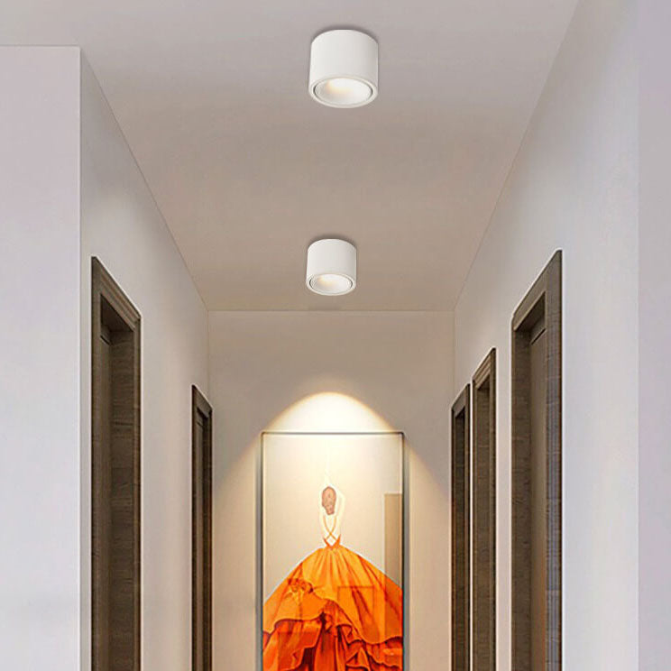 Elegant Adjustable LED Ceiling Light for Any Room