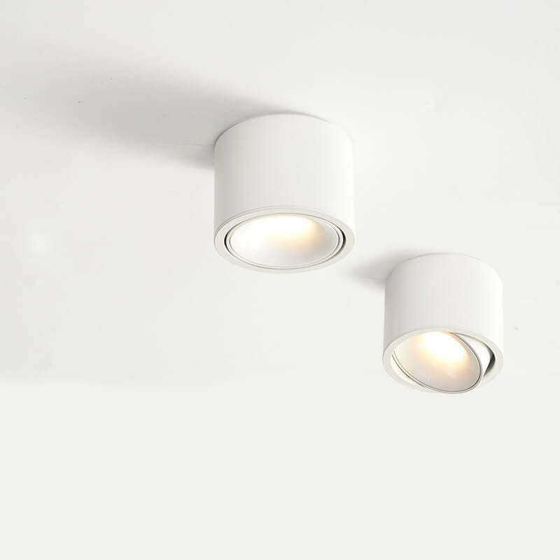 Elegant Adjustable LED Ceiling Light for Any Room