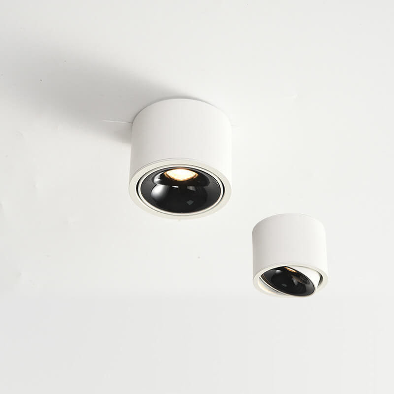 Elegant Adjustable LED Ceiling Light for Any Room