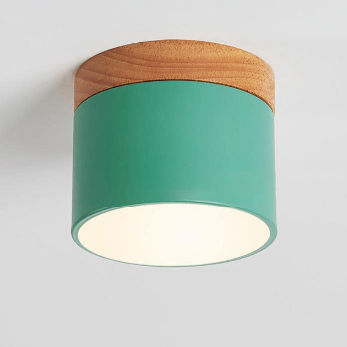 Compact LED Ceiling Light with Switchable Color Options