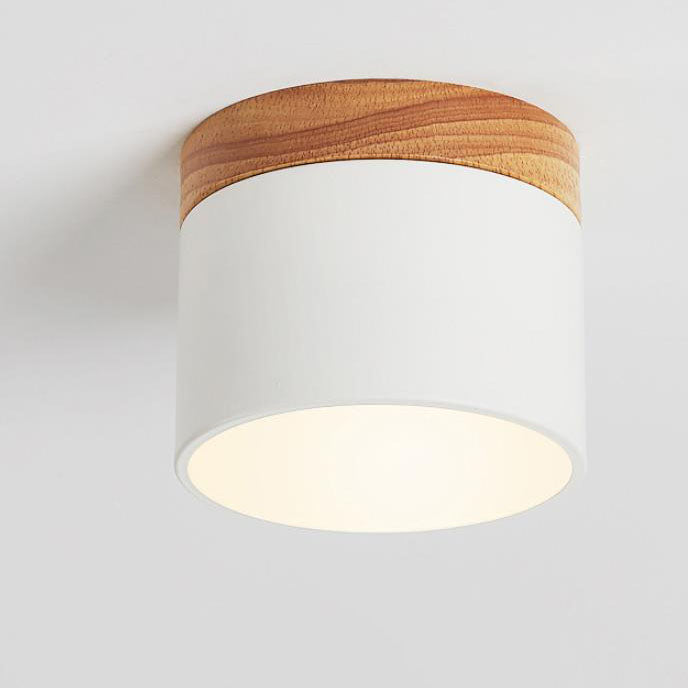 Compact LED Ceiling Light with Switchable Color Options