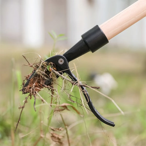 ErgoWeed Eliminator Tool for Effortless Lawn Care