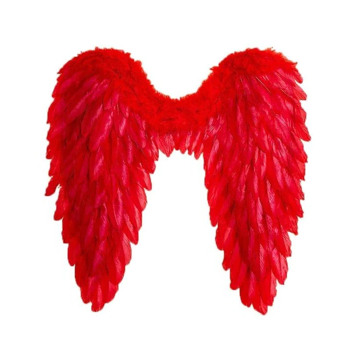 Heavenly Feathered Wings – Perfect for Costume Events