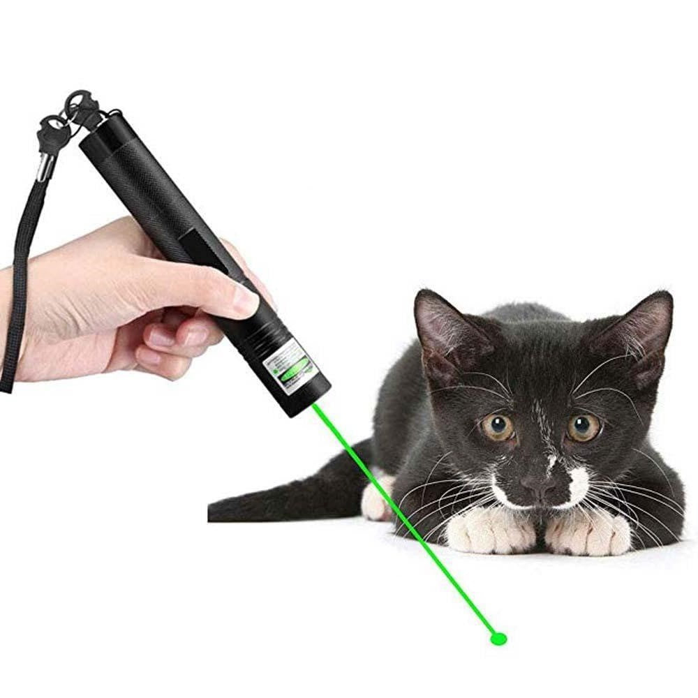 Precision Laser Pro – Ultimate Laser Pointer for Every Occasion