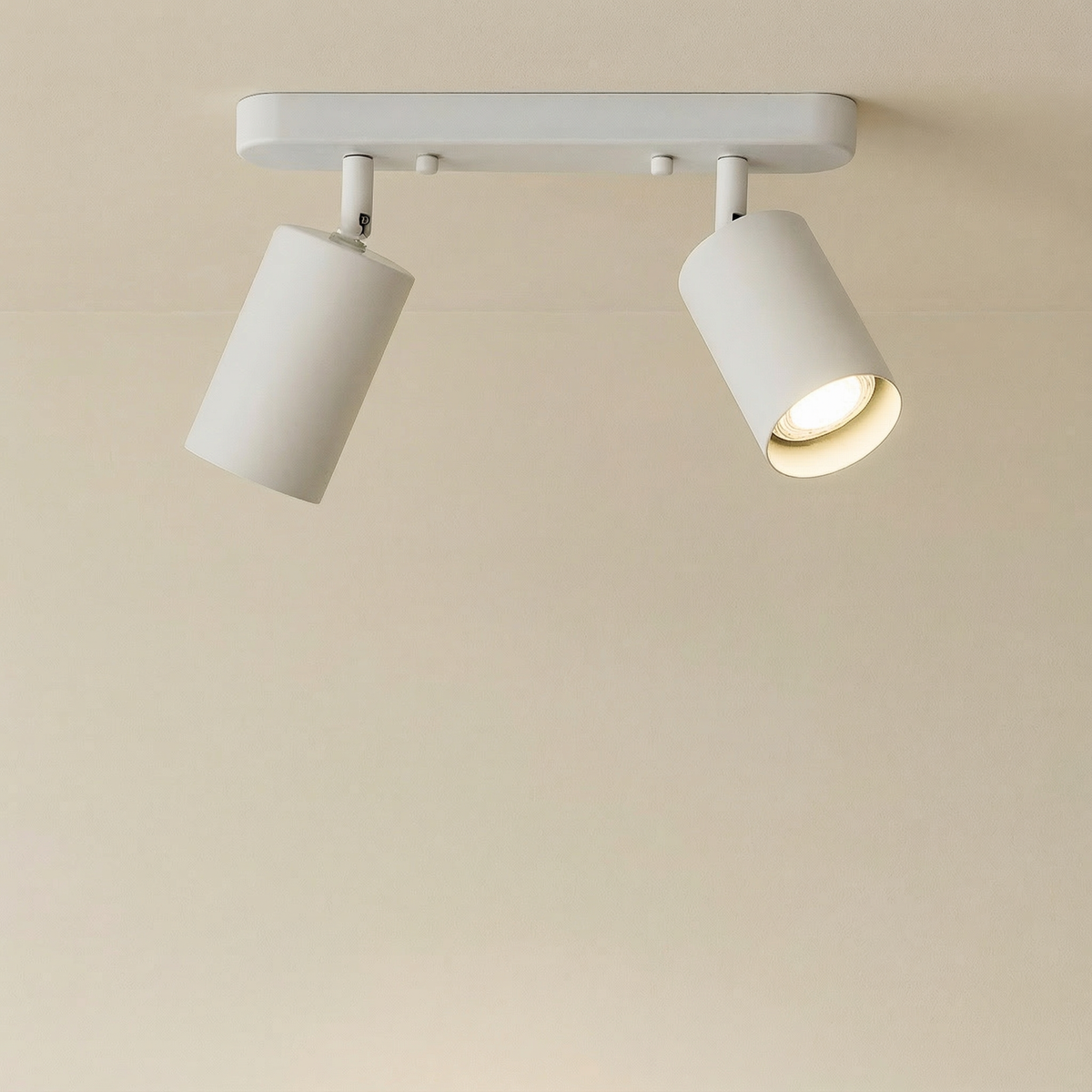 Versatile Dual-Head Adjustable Ceiling Spotlight Fixture