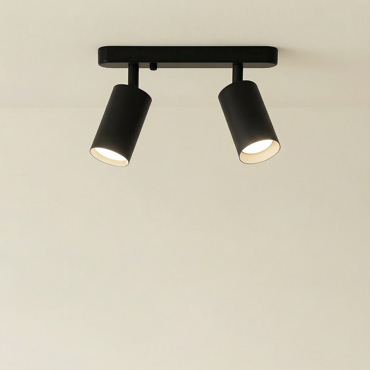 Versatile Dual-Head Adjustable Ceiling Spotlight Fixture