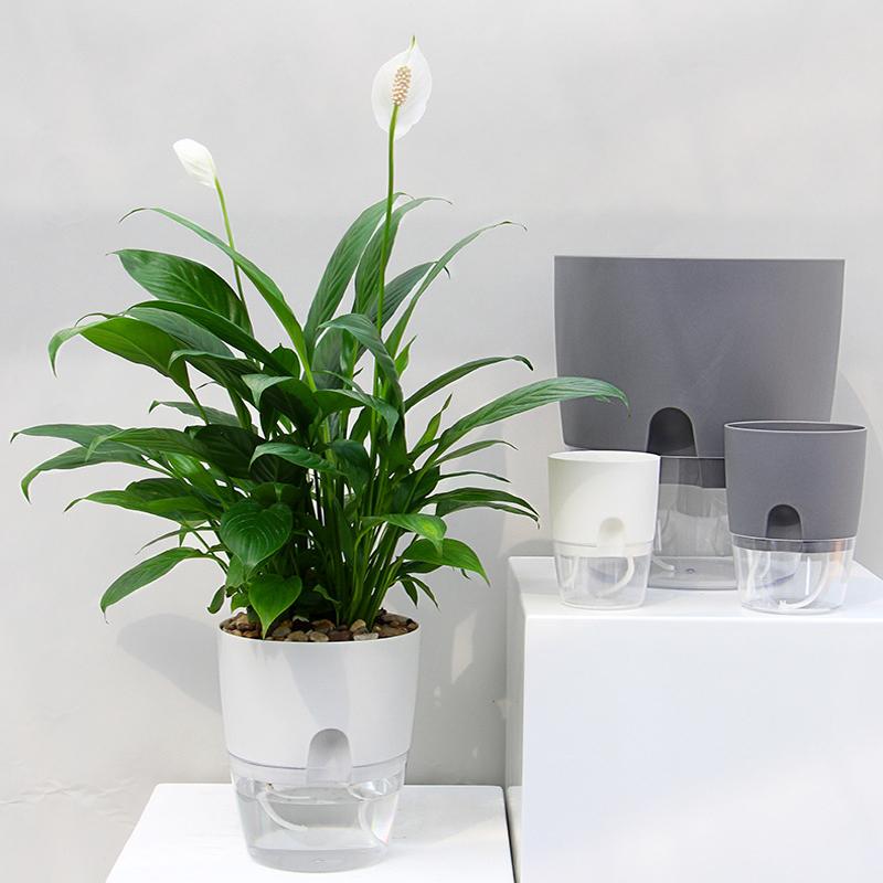 Flower Pot Self-Watering Cotton Wick & Transparent Reservoir
