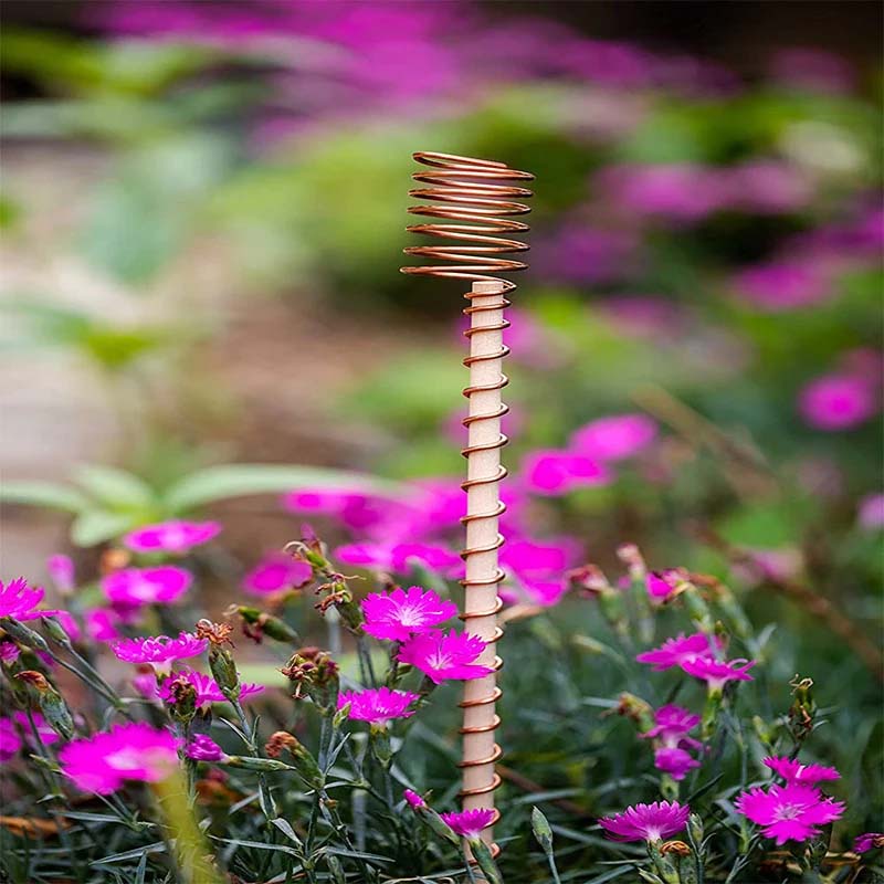 Garden Plant Stakes Pure Copper Weather-Resistant Set of 5