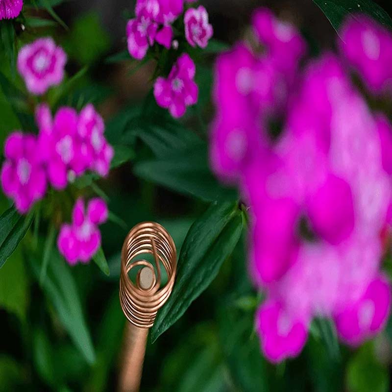 Garden Plant Stakes Pure Copper Weather-Resistant Set of 5