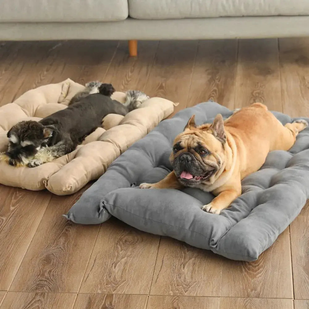 Pet Bed 3-in-1 Convertible 100% Cotton Machine Washable