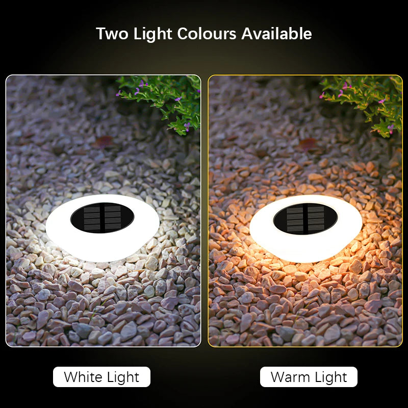 Solar Ground Lights 360° Bright Solar-Powered Set of 4