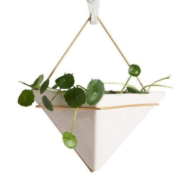 Stylish Triangular Wall Planter for Succulents and Air Plants
